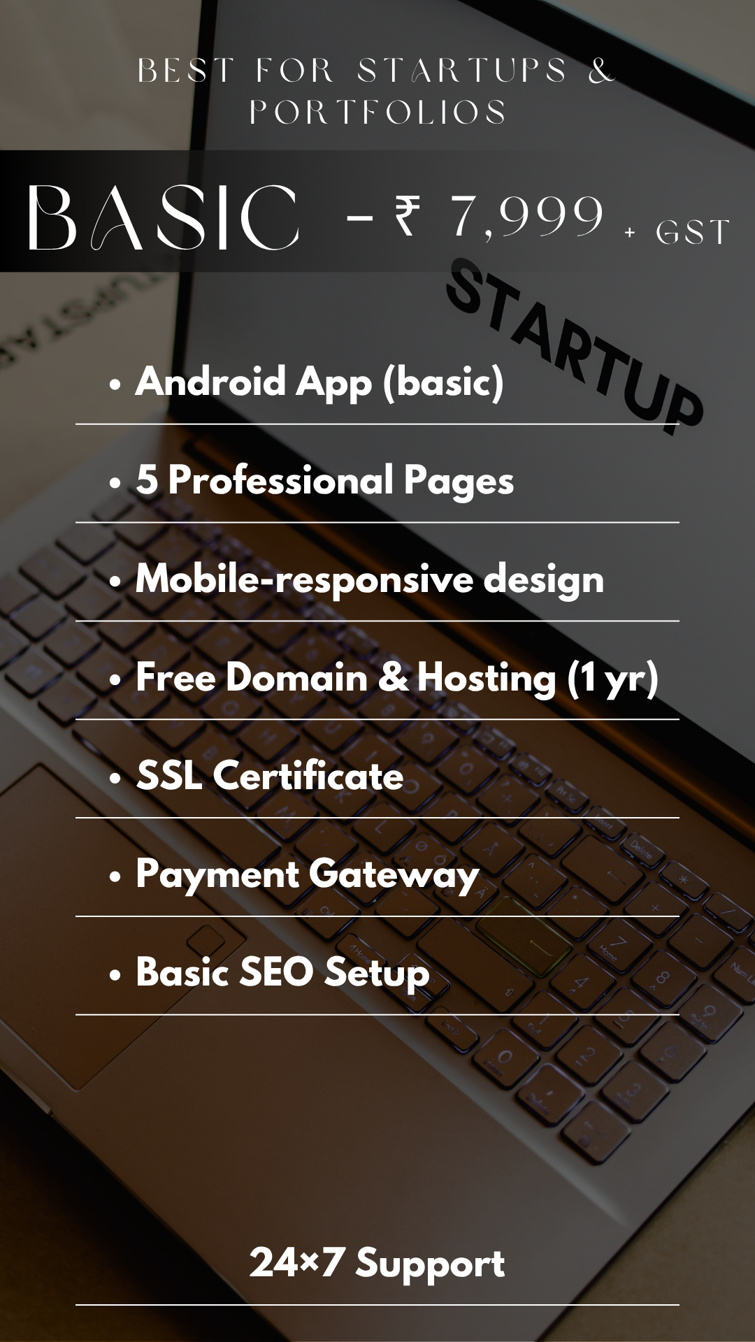 website basic plan