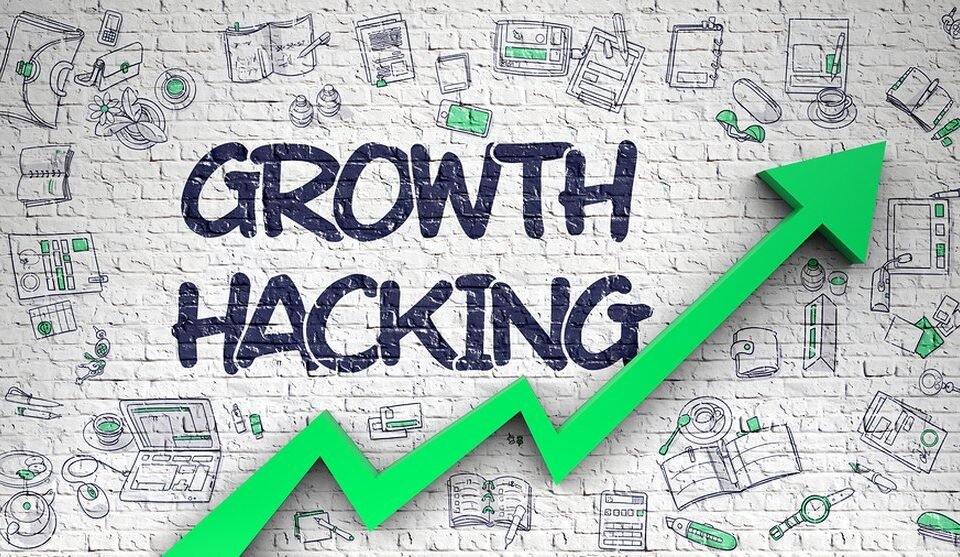 Startup Growth Hacks: Accelerate Scale and Dominate Your Market